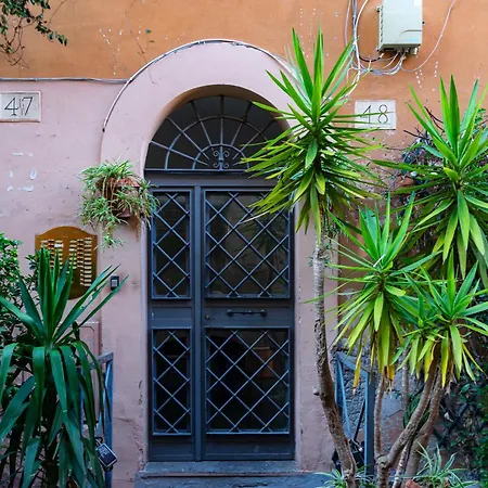 The Hive - In Trastevere * Rom